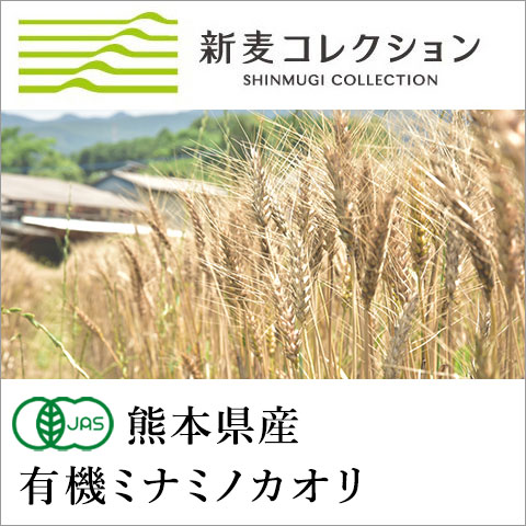 新麦コレクション,集いの旗×畑×新しい風,新麦,穫れたての小麦,挽きたてのおいしさ,秋のパン,秋のお菓子