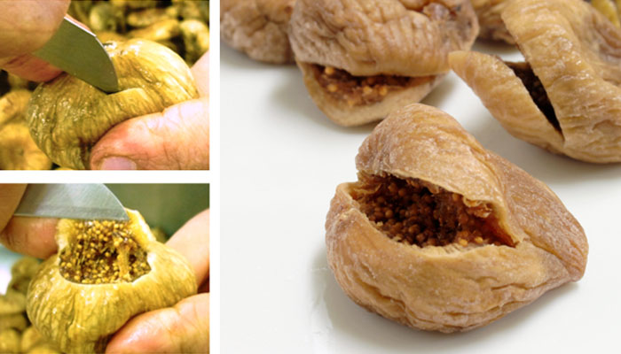 ママパン提案,マルシェ,今月のご提案